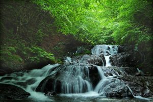 魚留の滝