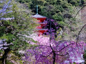 春の岐阜公園