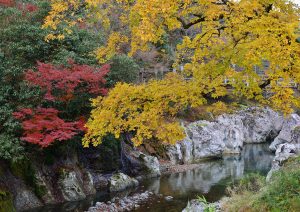 紅葉の思い出