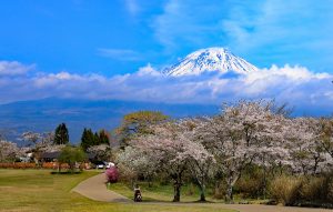 富士と桜