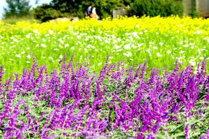 秋の公園にて