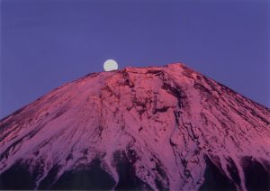 パール富士