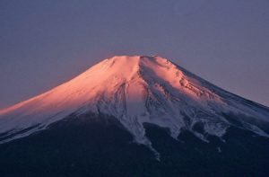 紅富士