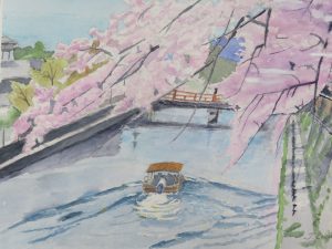 岡崎疎水の桜