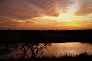 江戸川の夕景～富士を望む