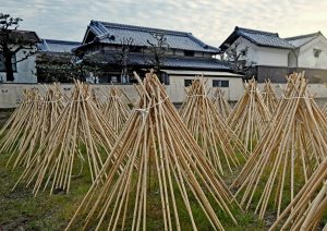 茶筅の里（生駒）　