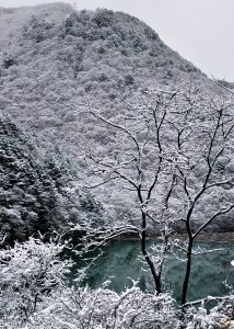 雪化粧