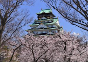 桜(はな)の錦城　