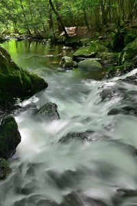 初夏の渓流　