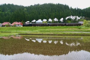 田植えの頃　