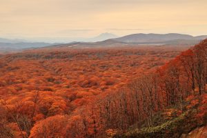 暮秋の八甲田