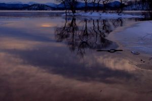 初冬水辺の夜明け