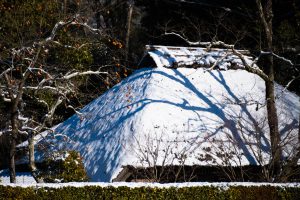 名残雪　