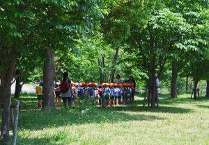 初夏の公園