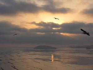 春援の海