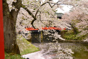 花筏