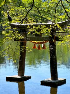 新緑の輝き　　　
