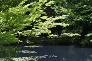 山田池公園の畔で