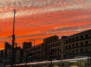 夕日に染まる鱗雲　