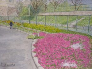 枚方２中の芝桜
