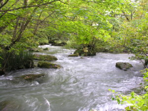 奥入瀬渓流