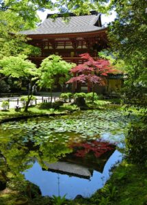 水面に浮かぶ仁王門