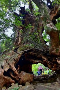 奥之院への山門